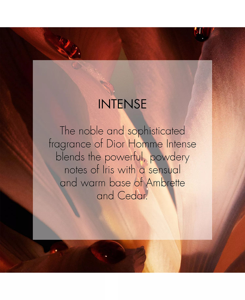 Dior Homme Intense Eau de Parfum Spray for Men (100ml)