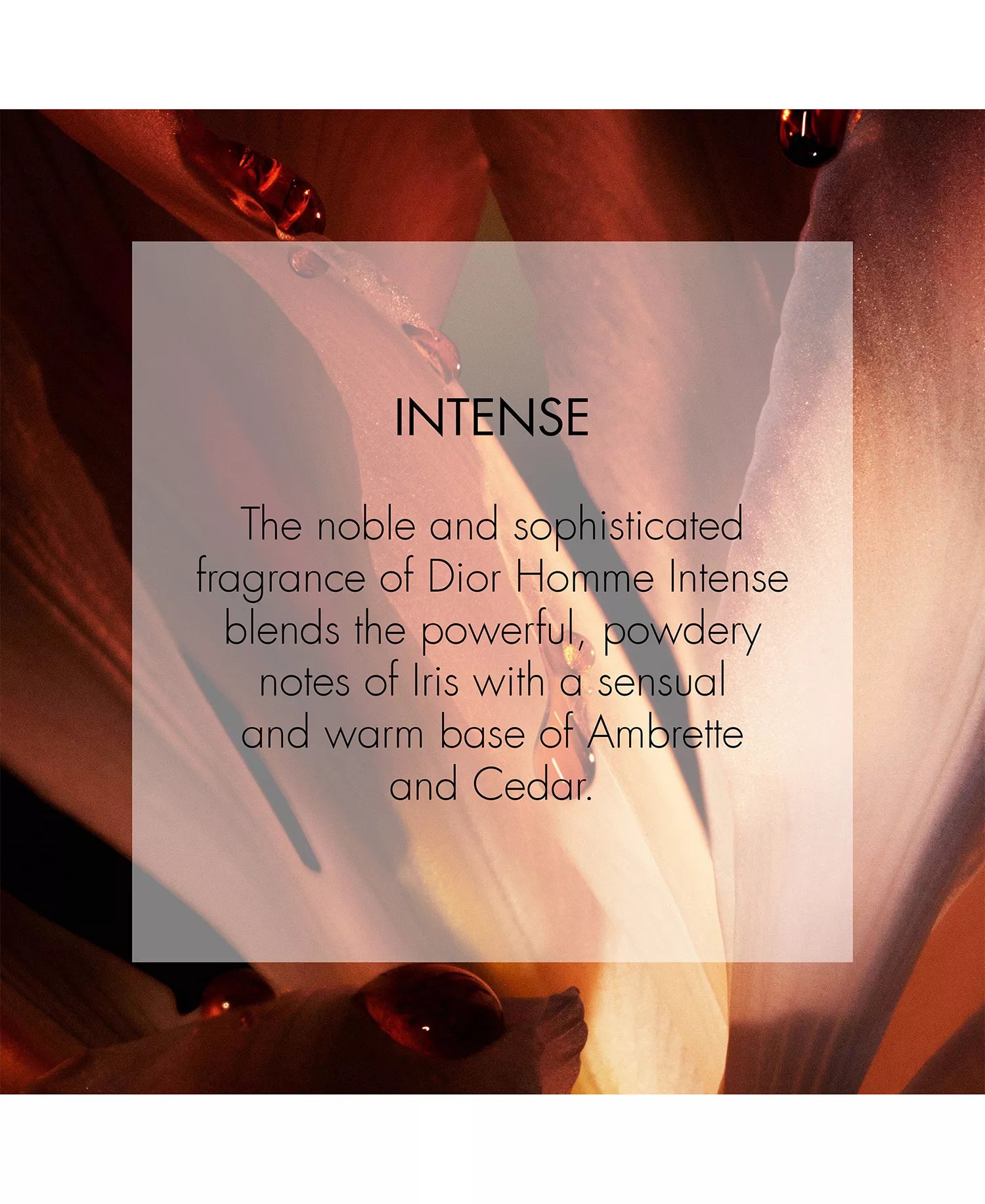 Dior Homme Intense Eau de Parfum Spray for Men (100ml)